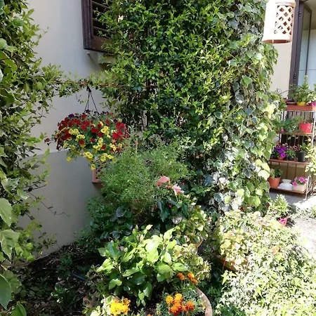 Residenza Cimabue Hotel Florencia